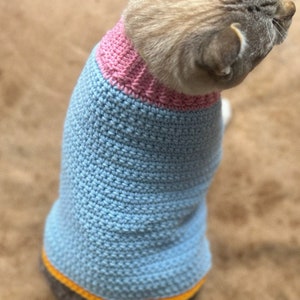May include: A blue and pink crocheted cat sweater with a yellow trim. The sweater is on a cat.