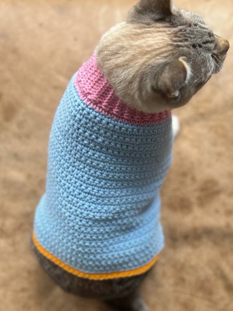 May include: A blue and pink crocheted cat sweater with a yellow trim. The sweater is on a cat.