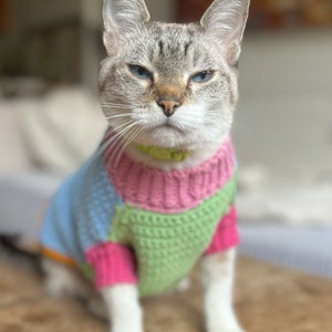 May include: A gray and white cat wearing a multi-colored knitted sweater. The sweater is pink, blue, and green. The cat is sitting on a light brown surface.