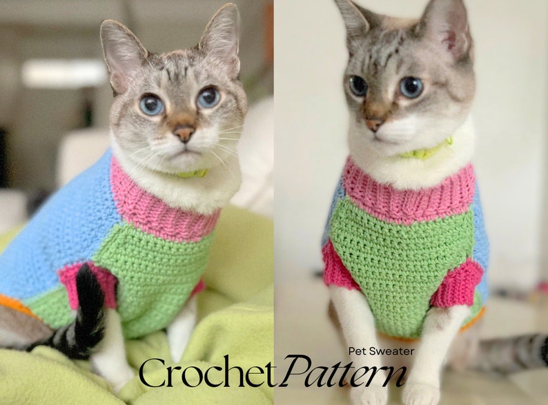 May include: A crochet pattern for a multi-colored cat sweater. The sweater is made in shades of pink, green, blue, and orange. The pattern is called "Pet Sweater".