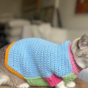May include: A gray and white cat wearing a blue, green, pink, and orange striped crocheted sweater.