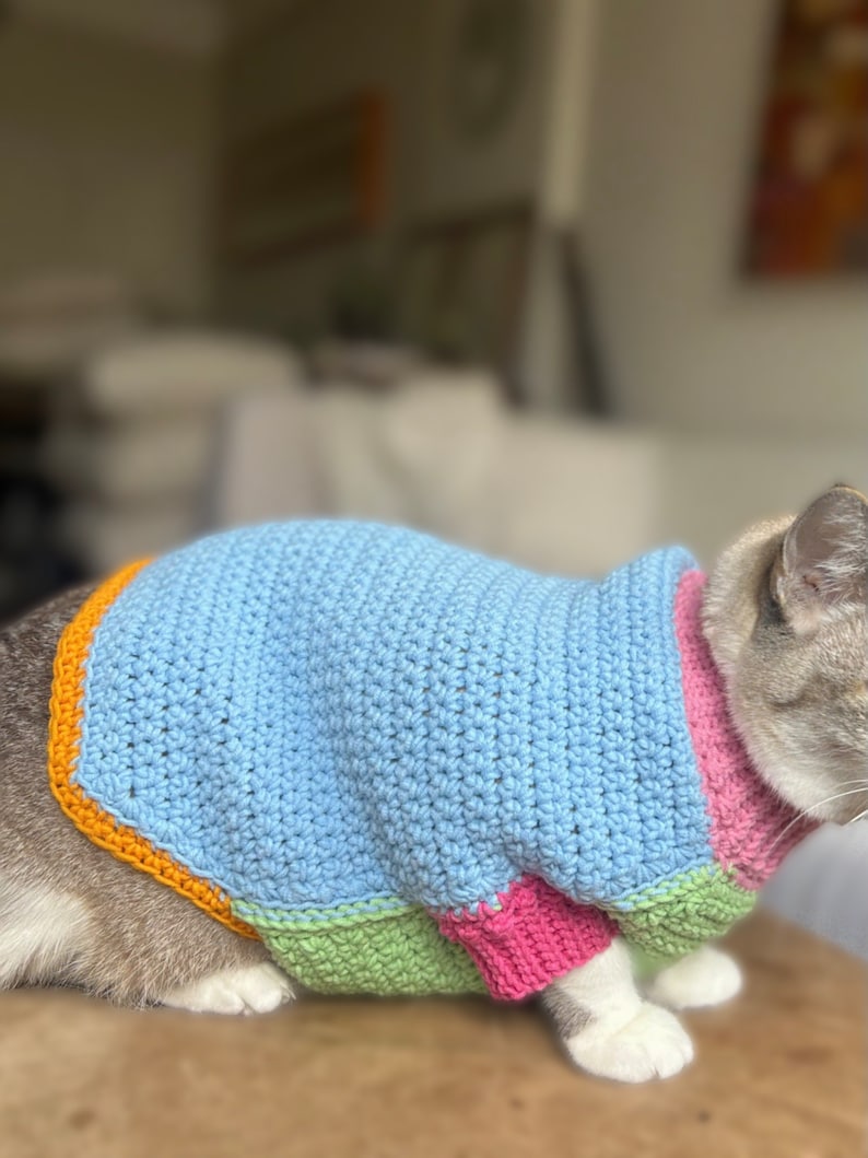 May include: A gray and white cat wearing a blue, green, pink, and orange striped crocheted sweater.