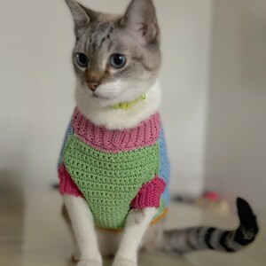 May include: A gray and white cat wearing a multi-colored knitted sweater. The sweater is green, pink, and blue. The cat is sitting on a light brown surface.