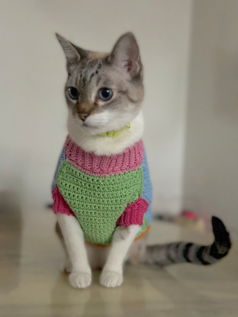 May include: A gray and white cat wearing a multi-colored knitted sweater. The sweater is green, pink, and blue. The cat is sitting on a light brown surface.