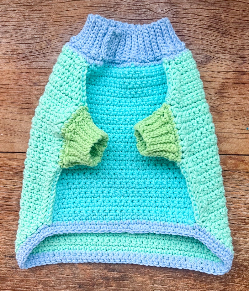 May include: A crocheted dog sweater in shades of blue, green, and light green. The sweater has a turtleneck and long sleeves.