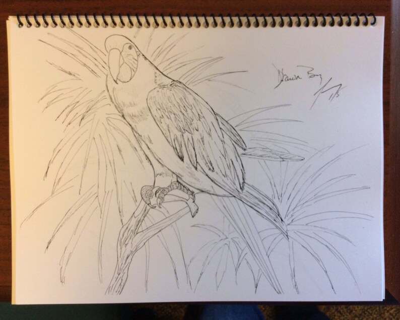 Coloring Book with drawings for coloring by Painting Jimmy | Etsy