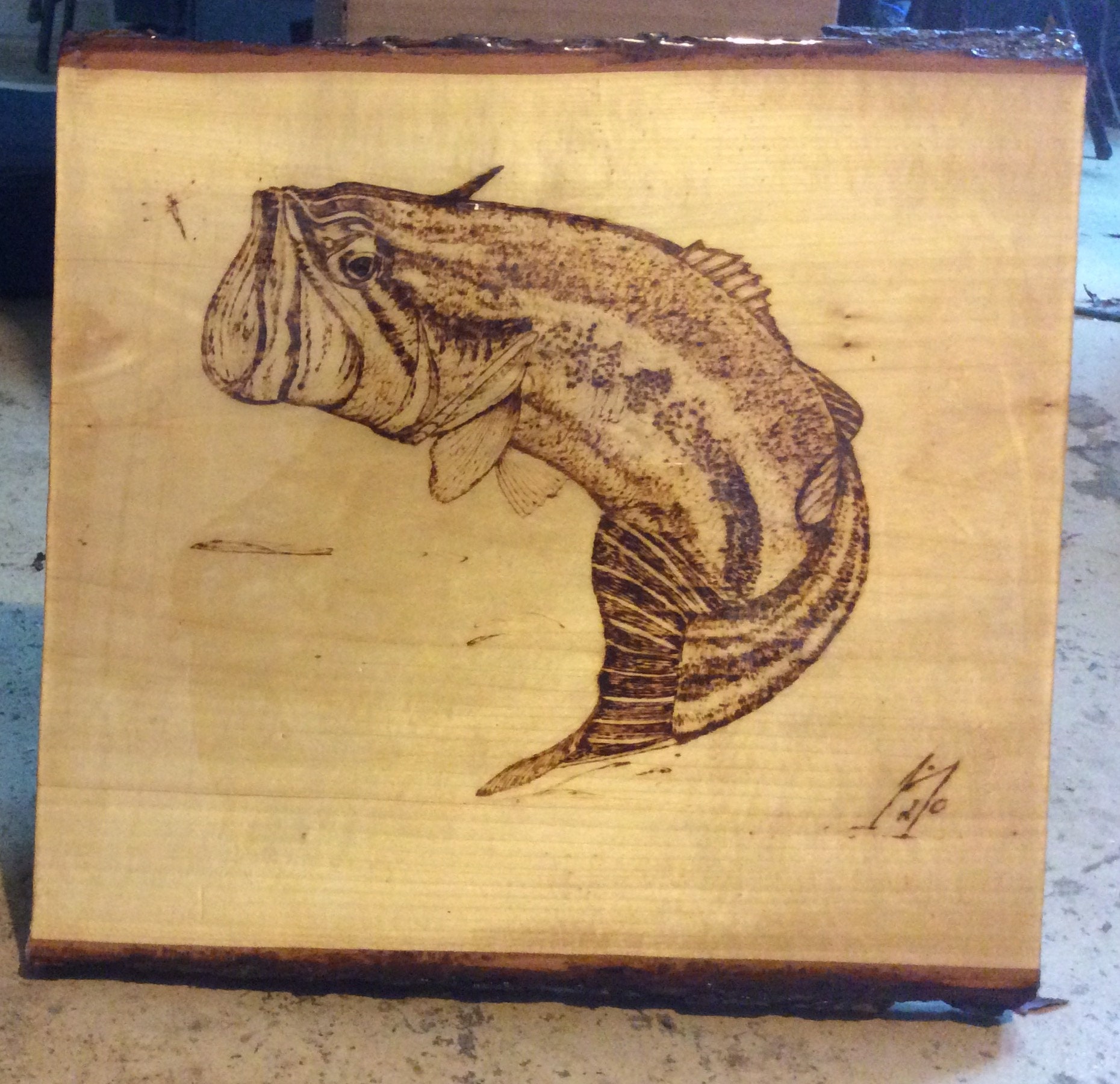 Spring Bass Original Wood Burning SALE Etsy