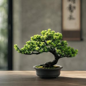 Peut inclure: Un bonsaï miniature avec un tronc sombre, texturé et noueux, doté d'un feuillage vert vif en forme d'aiguilles. L'arbre est planté dans un pot en céramique gris foncé mat, peu profond et à large bord, posé sur une surface en bois clair.