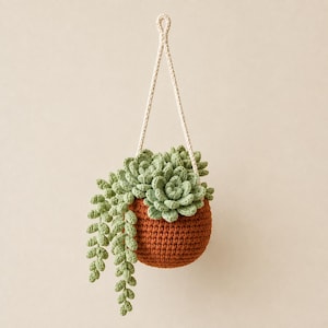 May include: A crocheted hanging plant featuring a round, rust-colored pot and light green succulent foliage. The plant includes a trailing string of pearls and rosette-shaped leaves, suspended by a cream-colored crocheted cord loop for display.