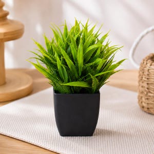 Könnte beinhalten: Eine kleine künstliche Pflanze mit leuchtend grünen, spitzen, grasartigen Blättern, die in einem dichten, abgerundeten Büschel angeordnet sind. Die Pflanze befindet sich in einem schlichten, mattschwarzen, quadratischen Topf.