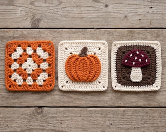 Pumpkin Mushroom Granny Square Crochet Pattern, Fall Autumn Blanket Pillow (PDF)
