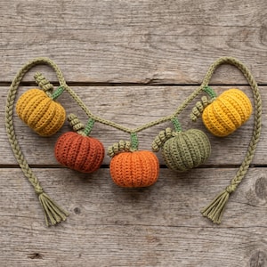 May include: A crochet garland featuring five small pumpkins in shades of yellow, orange, rust, and muted green. The pumpkins are connected by a braided green yarn cord that ends in tassels on both sides, creating a decorative hanging piece.