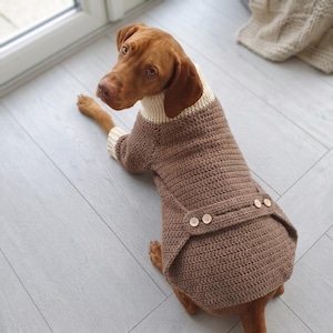 Crochet Dog Coat Pattern, Adjustable Pet Sweater (PDF Download)
