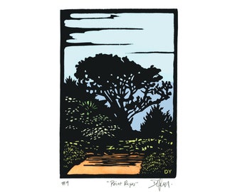 POINT REYES National Seashore, relief print of scenery around Muir Woods and Stinson Beach. Linocut print of tree at Point Reyes Station