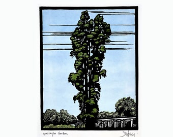 Huntington Gardens Linocut Print: Tree Art Queensland Kauri
