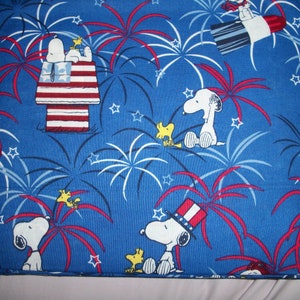 Peanuts Fourth of Juli Feuerwerk Baumwolle Kissenbezüge! 2er Set! Handarbeit! Snoopy und Woodstock!