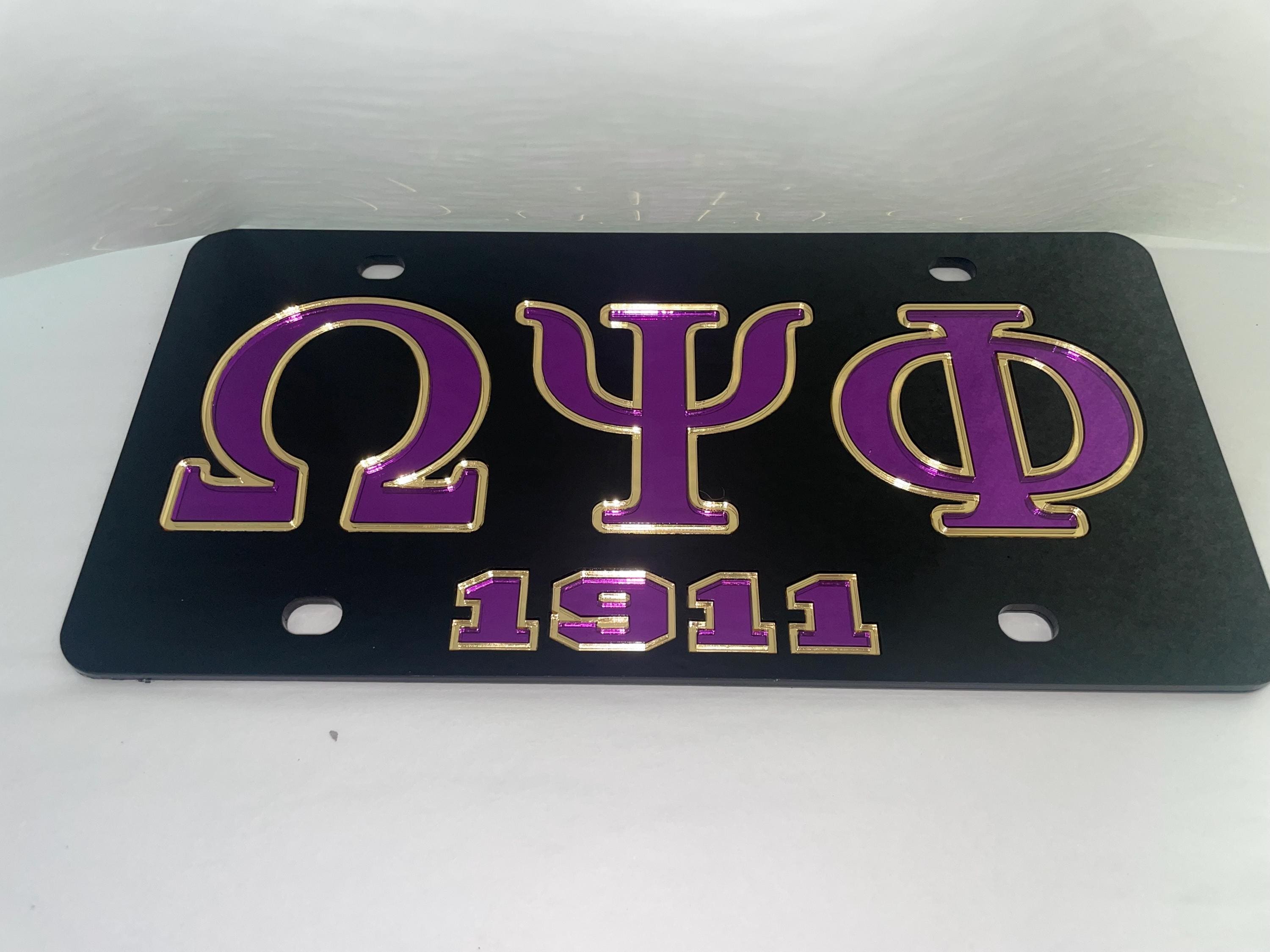 Two Vintage Lake Tahoe Metal Licence Plate Frames Elevation 6224 Feet - View #11