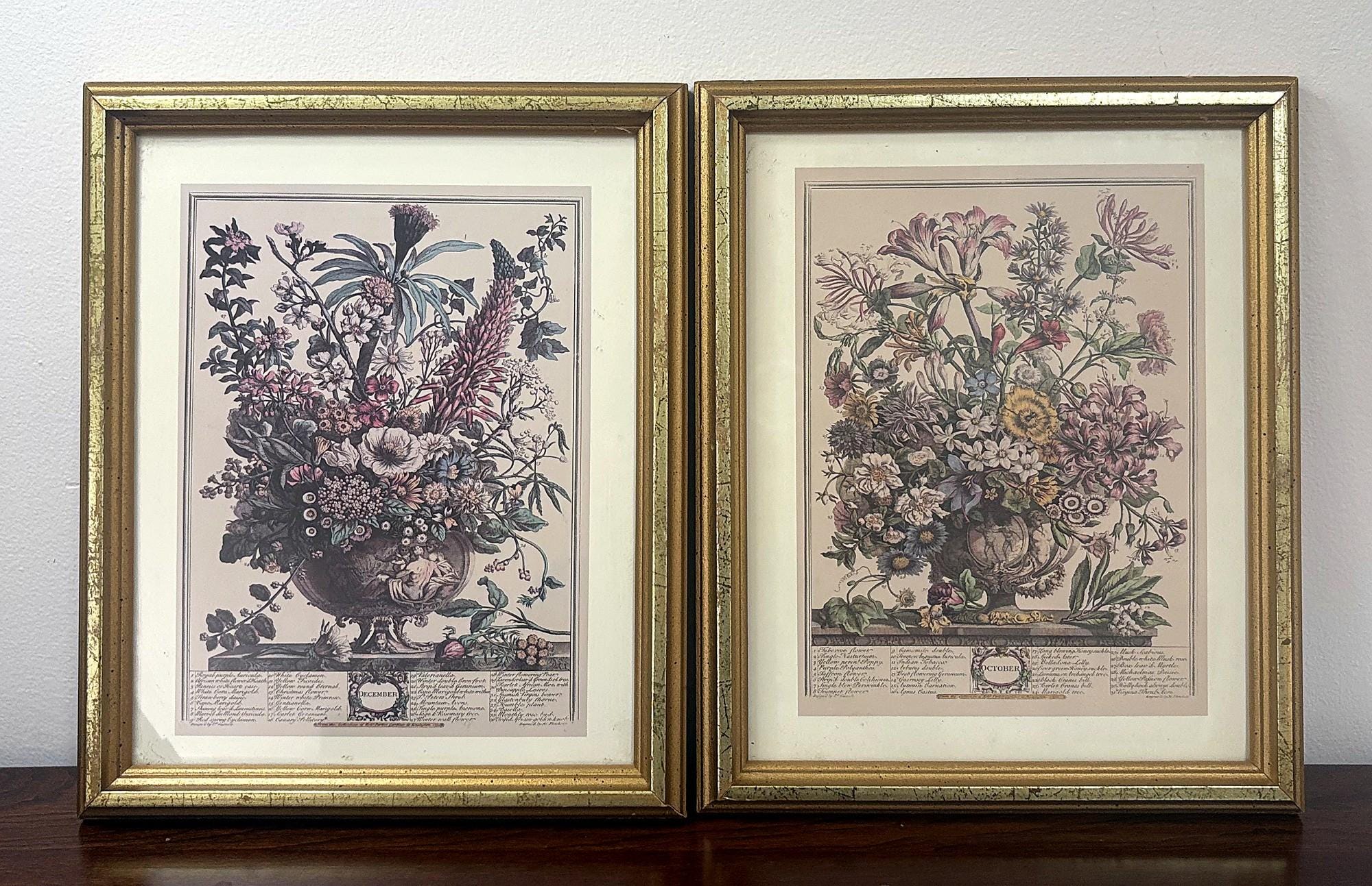 The Bombay Company Botanical Prints - Etsy