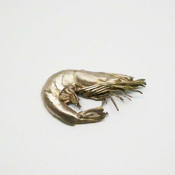 Object of curiosity, shrimp cast bronze