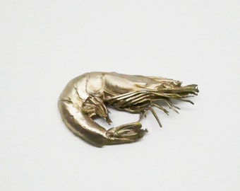 Object of curiosity, shrimp cast bronze