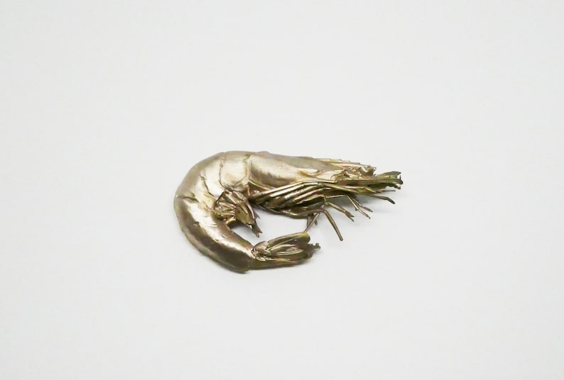 Object of curiosity, shrimp cast bronze image 1