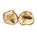 see more listings in the Oyster Shell Earrings section