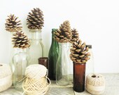 Glass Bottle Collection - 9 - Vintage Antique Eclectic - Vase Grouping