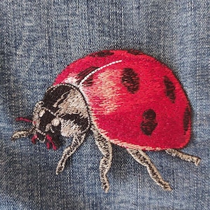 Può includere: Una toppa ricamata raffigurante una coccinella con ali rosso brillante a pois neri, testa nera e bianca e zampe nere, cucita direttamente su uno sfondo di tessuto denim blu con una trama visibile in tutto il materiale.