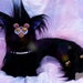 Long Furby 'Licorice' *Pre-Order* Black Purple Baphomet 4ft with Spine Demon Cursed Plush Custom Plushie Doll