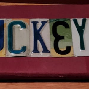 Buckeyes License Plate Sign Ohio State Buckeyes (Made to Order)