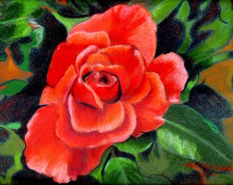 Red Rose Fine Art Giclee Print Rose Portrait of a Rose Pastel Painting by Jan Maitland Signed Museum Quality Archival Print 5X7 Rose Image