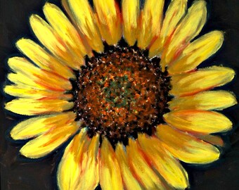 Sunflower Fine Art Giclee Print, Sunflower Portrait, Pastel Painting By Jan Maitland, Flower Portrait, 8" X 8" Archival Print