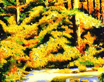 Fall Trees and River Fine Art Print, Tranquility, Giclee Print, Pastel Painting By Jan Maitland, Fall Colors, River Scene, Rapid Water, 8x10
