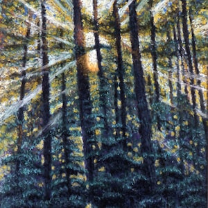 Forest Fine Art Giclee Print, Art Print, Forest Sunrise, Trees, Morning Sun, Pastel By Jan Maitland, Landscape, Green Fir Trees, Sun Beams