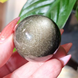 Puede incluir: Una esfera de obsidiana dorada pulida, sostenida en una mano. La esfera tiene un aspecto oscuro y metálico con motas doradas. Hojas verdes y una superficie de madera en el fondo.