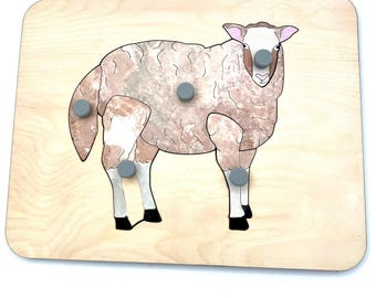 Parts of the Sheep Puzzle (1.5-3.5)