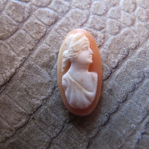 Loose Jewelry Design Italian Shell Cameo for Creating and Crafting Designs of Your Own, Loose Stones, Design Stones, Hand Carved Shell Cameo