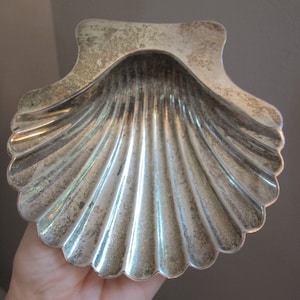 Könnte beinhalten: Eine silberne Schale in Muschelform mit einer glatten, glänzenden Oberfläche. Die Schale hat eine leicht abgenutzte Optik, was ihren Vintage-Charme verstärkt.