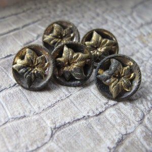 Boutons floraux flottants bombés en métal en laiton. Boutons antiques de petites fleurs en forme de feuille. Boutons de style chemisier/veste. Poinsettia lierre, bouton botanique
