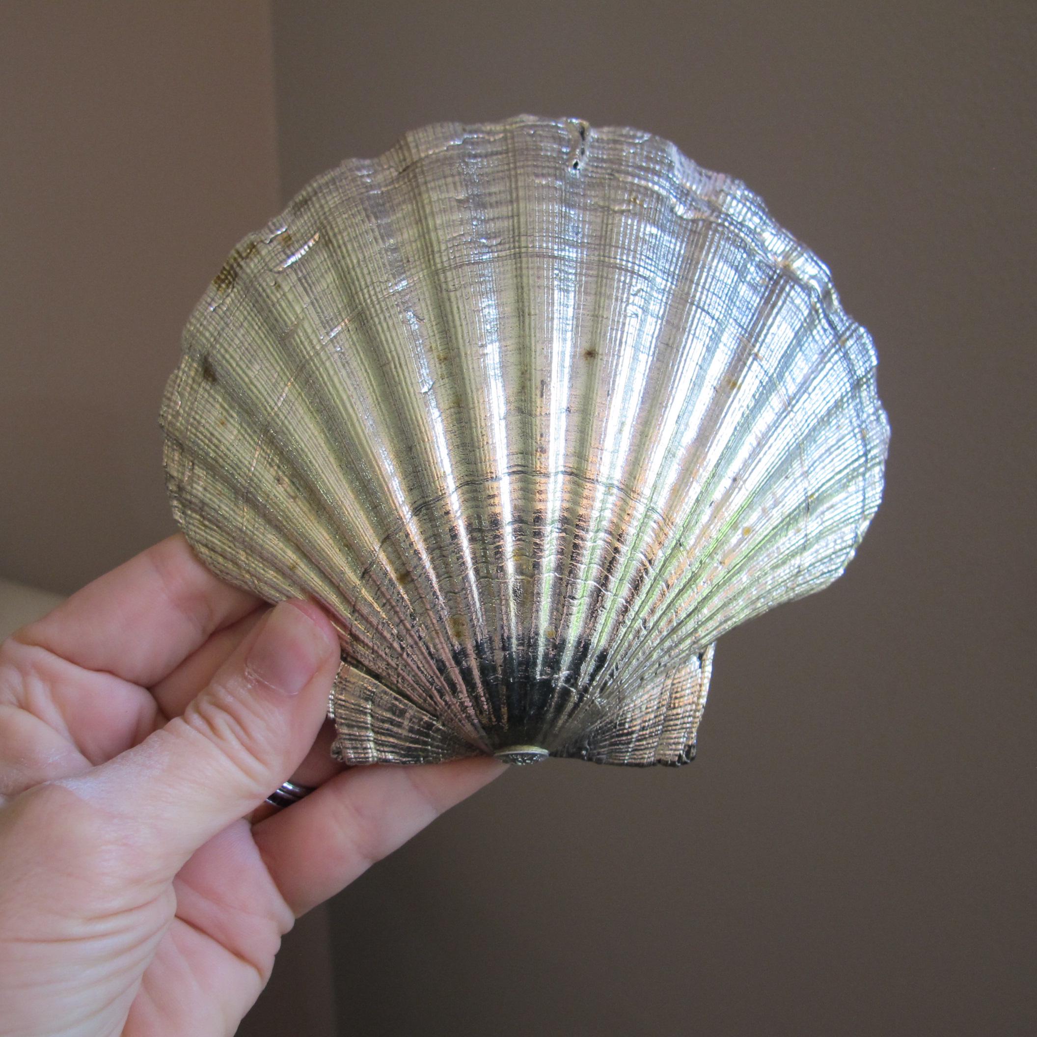 Italo Gori Florence Italy Argento Silver Covered Scallop Shell