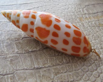 750 Gold & Sea Snail Seashell Mitra Mitra Handmade OOAK Pendant Charm, Shell Specimen Jewelry, Mollusk, Beach Summer Chic Shell Jewelry
