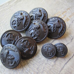 May include: A collection of dark brown circular buttons featuring a raised eagle and anchor emblem surrounded by a ring of small stars. The buttons vary in size, with some larger and some smaller, all displaying a consistent military-style design.