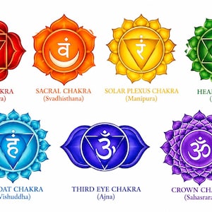 Può includere: Un set di sette simboli chakra colorati disposti su due file. Ogni icona presenta una forma geometrica distinta, un carattere sanscrito centrale e un colore specifico: rosso, arancione, giallo, verde, azzurro, blu scuro e viola. Le etichette di testo identificano ogni chakra per nome e termine sanscrito.