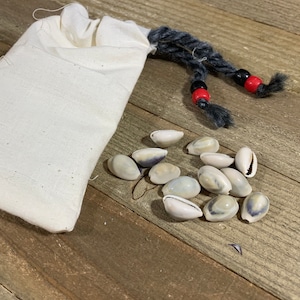 Cowrie Shell Beginner's Set- Pagan Wiccan African  Divination - cloth bag