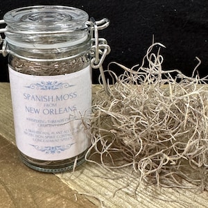 Spanish Moss from New Orleans - dried plant ally for spells or rootwork - respectfully gathered