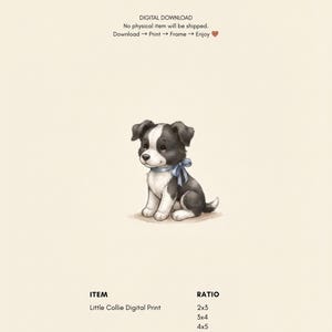 May include: A digital print featuring a black and white puppy illustration with a blue ribbon around its neck. Text includes: DIGITAL DOWNLOAD, No physical item will be shipped, Download -> Print -> Frame -> Enjoy, ITEM, Little Collie Digital Print, RATIO, 2x3, 3x4, 4x5, ISO.