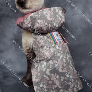 May include: A grey cat harness with a pink floral pattern and a rainbow trim. The harness has a label that says "Sox Super Comfy Cat Harnesses".
