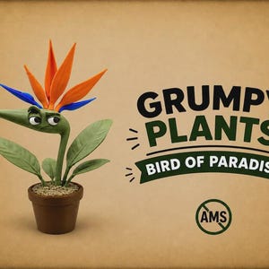 May include: A Bird of Paradise plant in a brown pot with a grumpy facial expression, orange and blue petals, and green leaves. The text reads GRUMPY PLANTS BIRD OF PARADISE and AMS inside a circle. The plant has a long green stem and eyes.