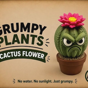 May include: A green cactus figurine with an angry facial expression and a bright pink flower on top, potted in a brown container. The text reads: GRUMPY PLANTS CACTUS FLOWER and No water. No sunlight. Just grumpy. An AMS logo is in the corner.