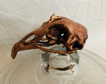 real pheasant skull with anatomic anomaly  electroformed sculpture little bastards collection